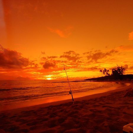 Kauai Beach House Hostel, Llc Kapa'a Dış mekan fotoğraf