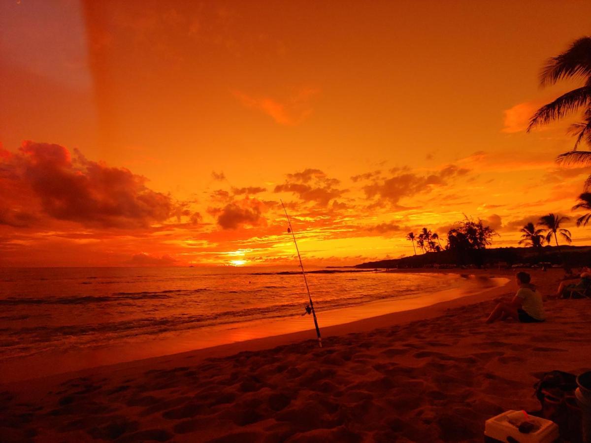 Kauai Beach House Hostel, Llc Kapa'a Dış mekan fotoğraf